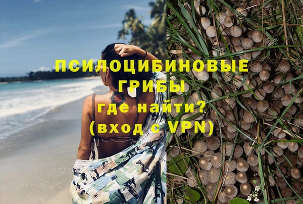 прущий лед Белокуриха