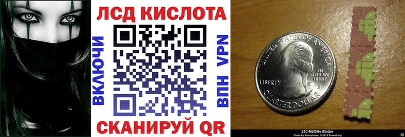 сколько стоит Западная Двина Марки N-bome 1500мкг