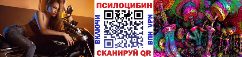где продают   shop наркотические препараты  Галлюциногенные грибы мухоморы  Западная Двина 